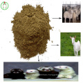 Fishmeal Protein Powder Animal Feed High Quality